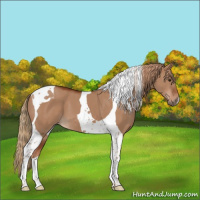 Horse Color:Red Dun Tobiano