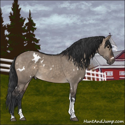 Horse Color:White Spotted Brown Dun Tobiano 