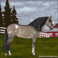 Horse Color:White Spotted Brown Dun Tobiano 