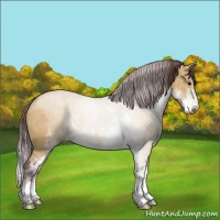 Horse Color:Chocolate Buckskin Dun Sabino Rabicano