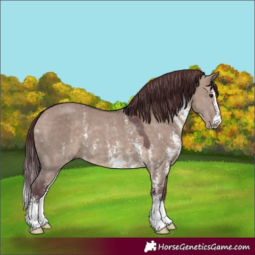Horse Color:Chocolate Brown Dun Sabino 