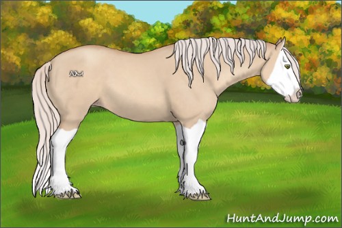 Horse Color:Silver Classic Champagne Dun Splash 