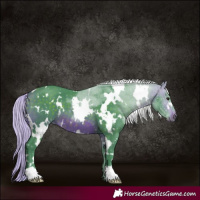 Horse Color:Watercolor White Spotted Silver Brown