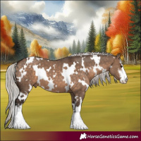 Horse Color:White Spotted Silver Brown Dun 