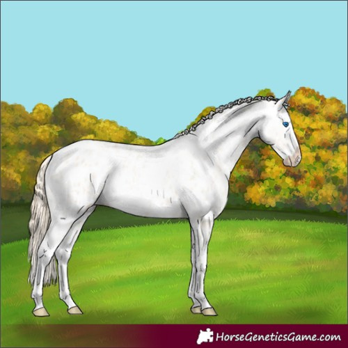 Horse Color:Smoky Grullo Pearl Sabino Splash Appaloosa 