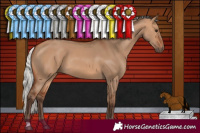 Horse Color:Silver Bay Dun