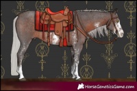 Horse Color:Silver Brown Sabino 
