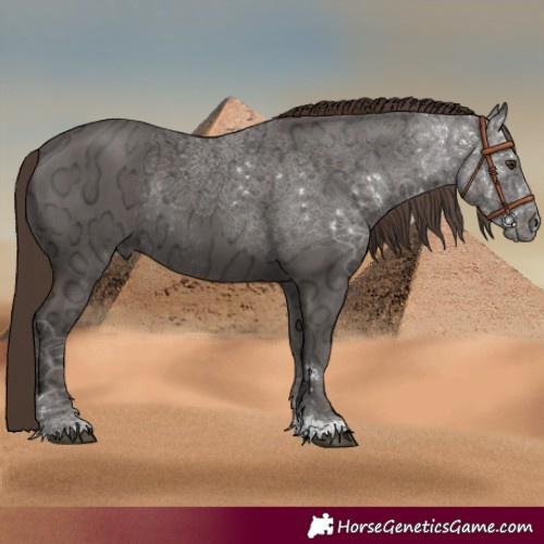 Horse Color:Liver Chestnut Ice Rabicano 