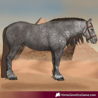 Horse Color:Liver Chestnut Ice Rabicano