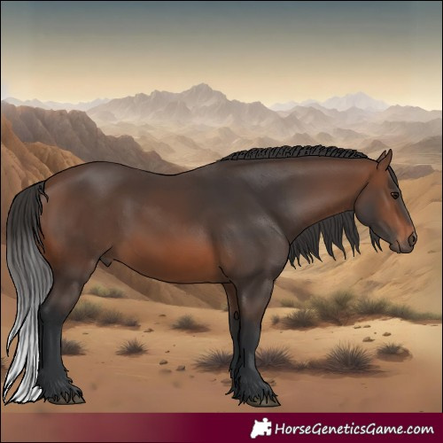 Horse Color:Brown 