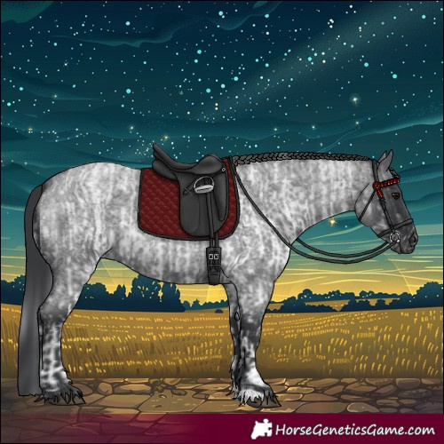 Horse Color:White Spotted Blue Roan Rabicano  and Blue Roan Rabicano 