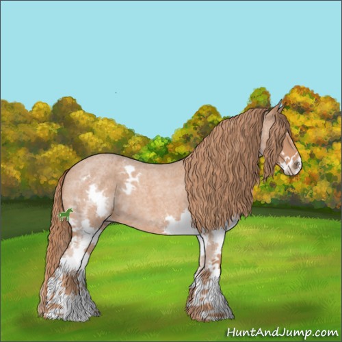 Horse Color:Red Roan Sabino Splash