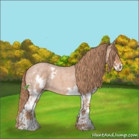 Horse Color:Red Roan Sabino Splash 