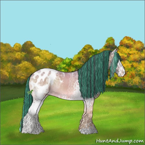 Horse Color:Painted White Spotted Brown Ice Onyx Appaloosa 