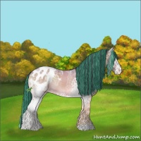 Horse Color:Painted White Spotted Brown Ice Onyx Appaloosa