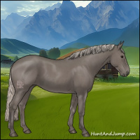 Horse Color:Silver Blue Roan Sabino