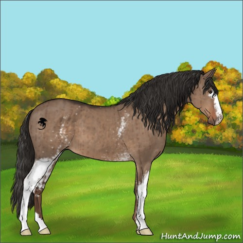 Horse Color:White Spotted Liver Red Dun Brindle 