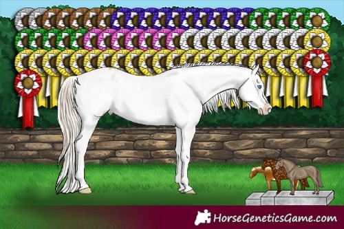 Horse Color:White Spotted Chocolate Palomino Pearl Dun Sabino Snowflake Varnish