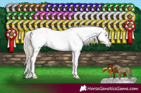 Horse Color:White Spotted Chocolate Palomino Pearl Dun Sabino Snowflake Varnish 