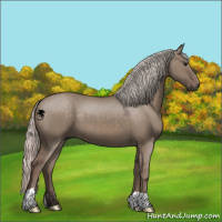 Horse Color:Silver Grullo 