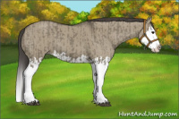 Horse Color:Smoky Grullo Sabino Splash and Smoky Grullo Sabino Splash