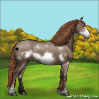 Horse Color:White Spotted Liver Red Dun Sabino Frame 