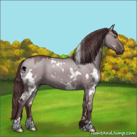 Horse Color:White Spotted Chocolate Grullo Chinchilla 