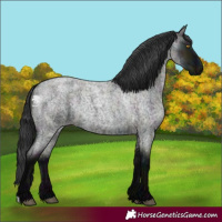 Horse Color:Midnight Grullo Roan 