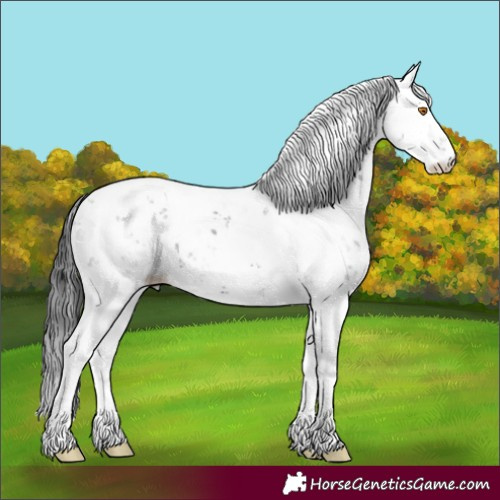 Horse Color:Midnight Black Sabino