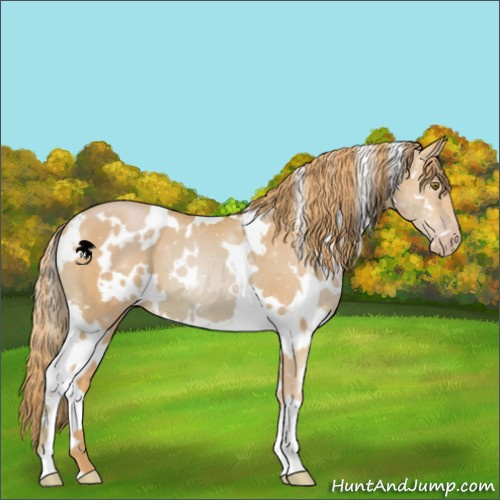 Horse Color:Watercolor White Spotted Gold Champagne