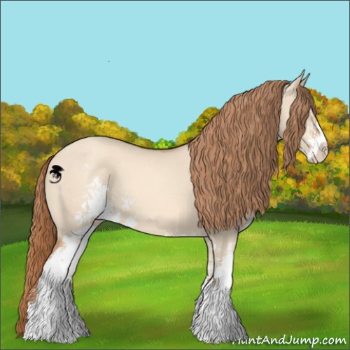 Horse Color:Gold Champagne Dun Sabino 