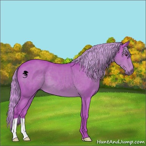 Horse Color:Watercolor Liver Chestnut 