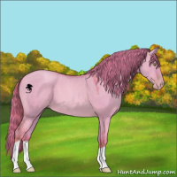 Horse Color:Watercolor Gold Champagne Dun 