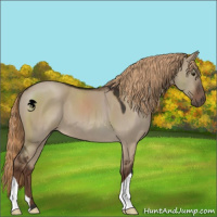Horse Color:Liver Red Dun 