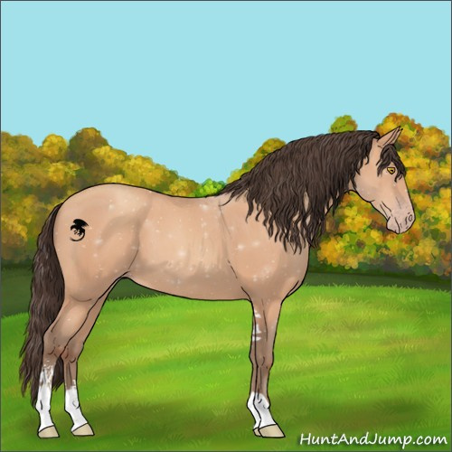Horse Color:Amber Champagne Sabino 