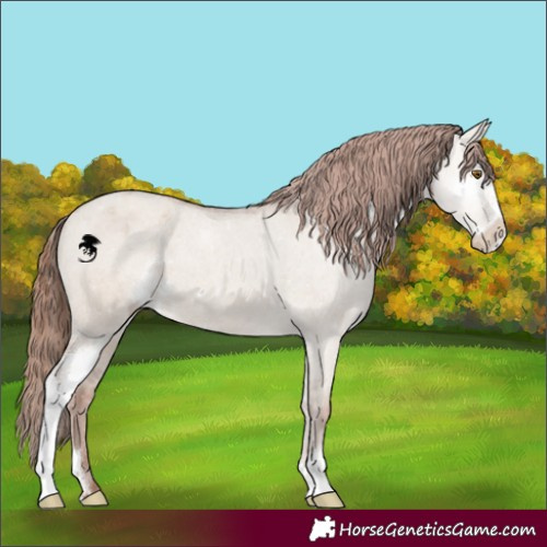 Horse Color:Classic Champagne Dun Sabino Varnish
