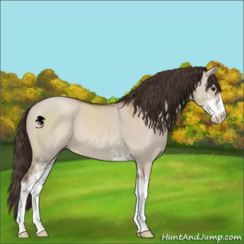 Horse Color:Classic Champagne Dun Sabino 