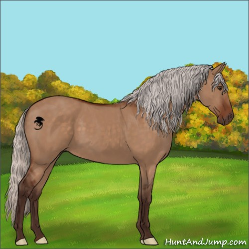 Horse Color:Silver Brown Dun 
