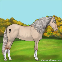 Horse Color:Silver Sable Champagne Dun 