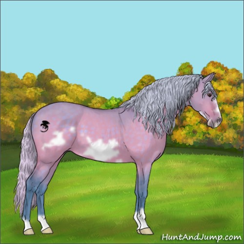 Horse Color:Watercolor Silver Brown Dun Frame 