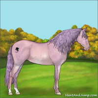 Horse Color:Watercolor Gold Champagne Dun 