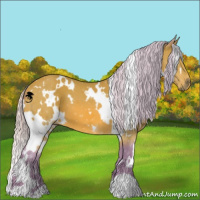 Horse Color:Watercolor White Spotted Silver Bay 
