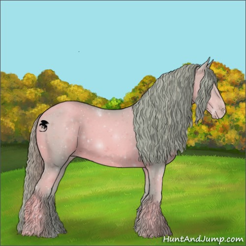 Horse Color:Watercolor Gold Champagne 