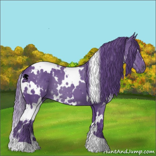 Horse Color:Watercolor White Spotted Liver Chestnut 