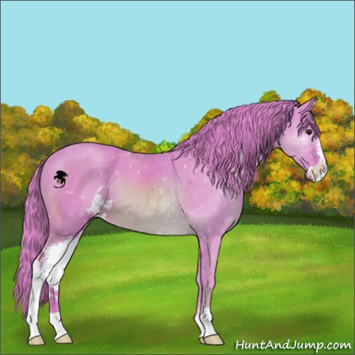 Horse Color:Watercolor Chestnut Sabino 
