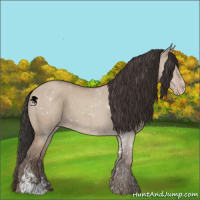 Horse Color:Classic Champagne Dun Sabino 