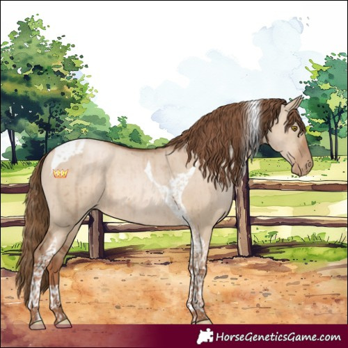 Horse Color:Liver Red Dun Pearl Tobiano Rabicano Brindle