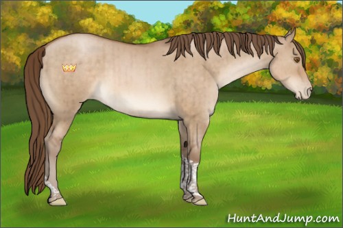 Horse Color:Brown Pearl Dun Tobiano Rabicano Brindle
