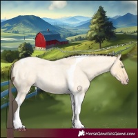 Horse Color:Amber Cream Champagne Roan Tobiano 