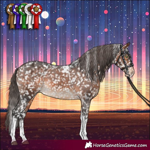 Horse Color:Bay Tobiano Snowflake Varnish 